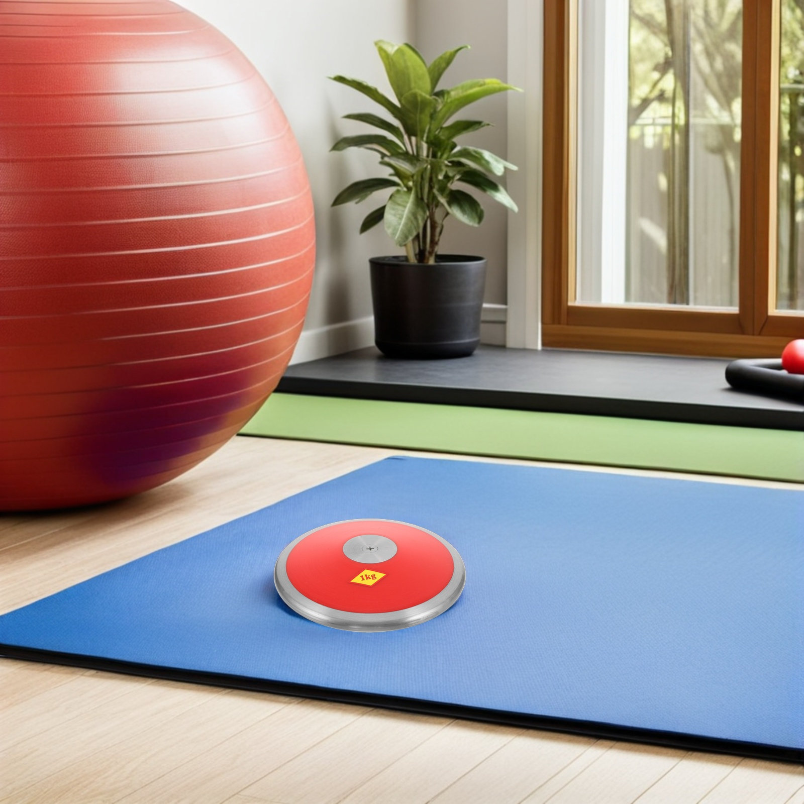 1Kg Sports Nylon Practice Disc - Discus Throw Training 评论和价格